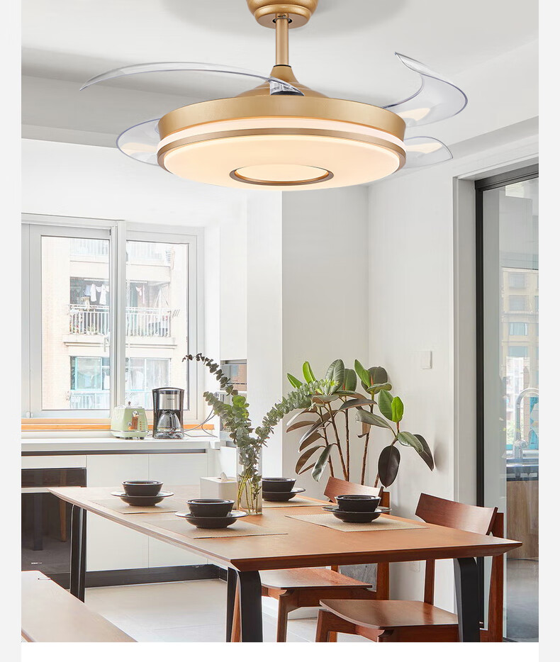 领王隐形风扇灯吊扇灯大风力客厅卧室餐厅家用一体带灯电风扇吊灯智能