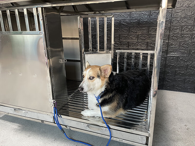 户外狗屋防雨防晒室外狗房子狗别墅狗窝狗棚中大型犬舍304不锈钢吉米