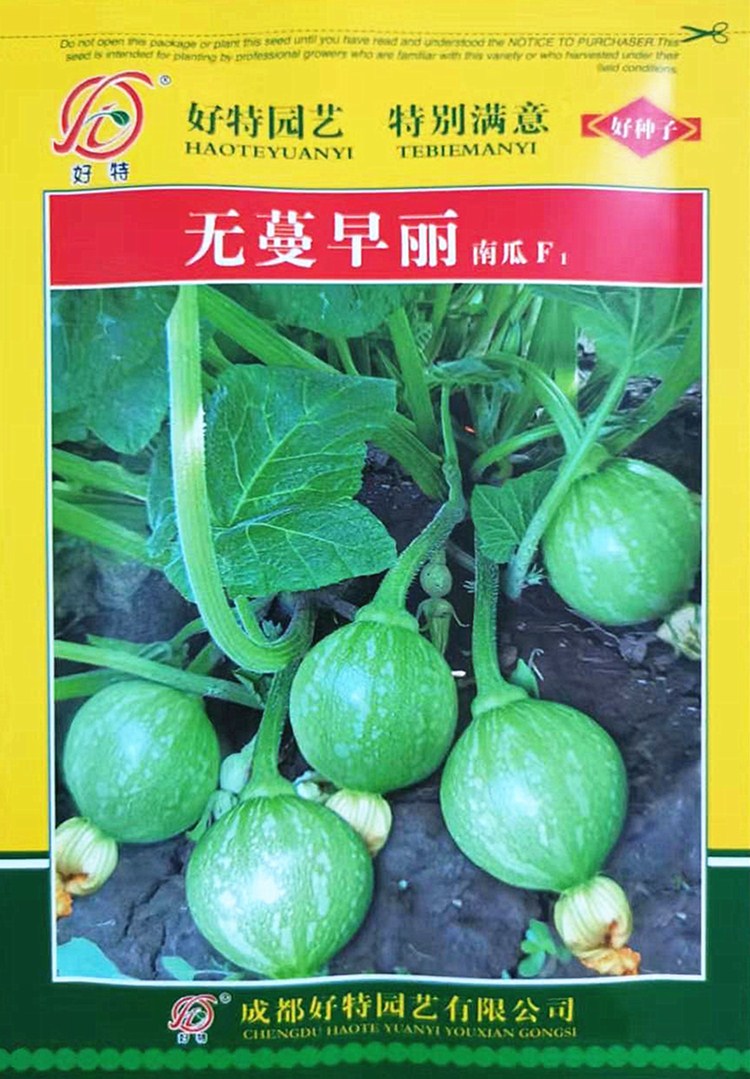南瓜种子一串铃嫩早小南瓜籽无蔓短蔓南瓜圆西葫芦春季田园蔬菜孑无蔓