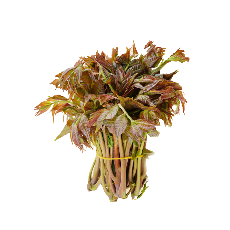 现摘头茬香椿芽新鲜顺丰直达当天采摘香椿菜香椿头尝鲜叶菜1500g