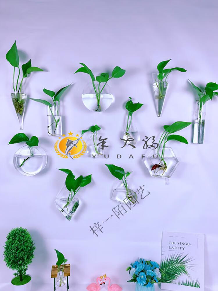 墙壁花盆创意墙上挂壁挂墙花盆绿萝墙壁挂件悬挂式水培玻璃花瓶墙面