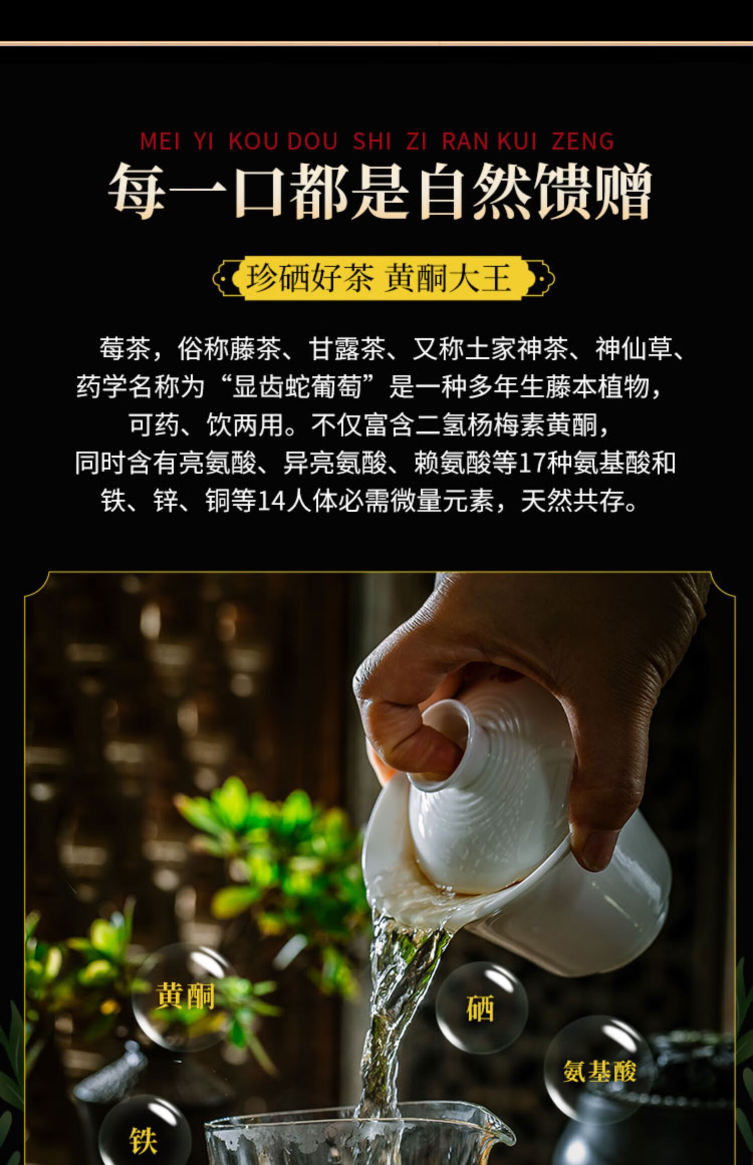 天门郡莓茶250g仿野生藤高品质芽尖霉茶张家界特产长寿藤养生茶250g