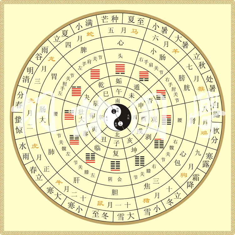 十二辟卦卦象图中医养生太极八卦图二十四节气脏腑经络装饰画286淡