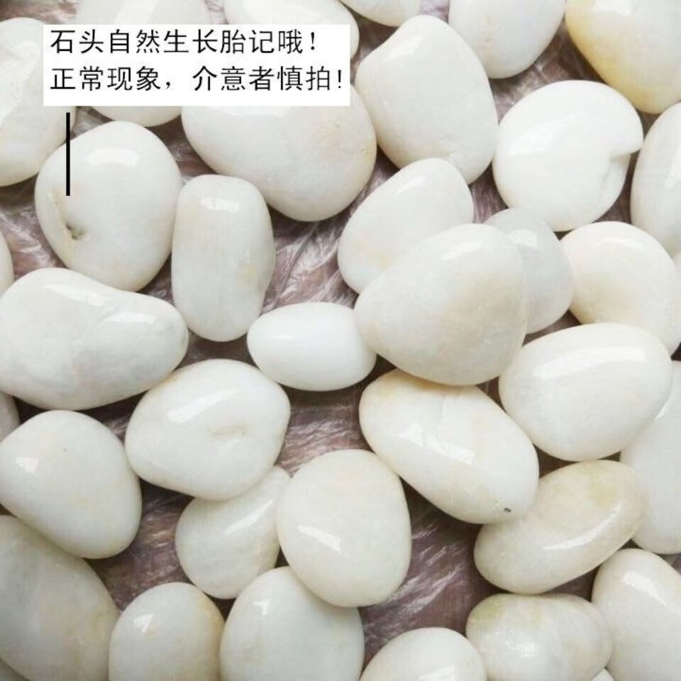 雨花石细烟南京500白色天然鹅卵石抛光雨花石水培郁金香鱼缸造景铺路