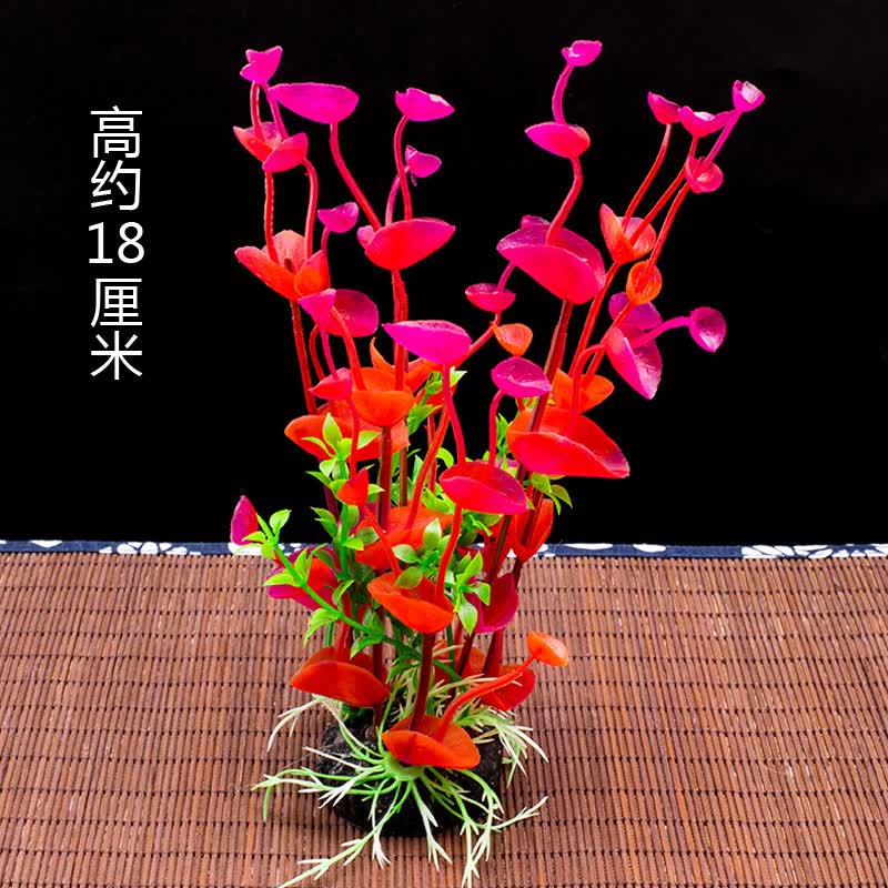 刺身拼盘创意点缀花酒店餐厅凉菜摆盘装饰花盘饰点缀花草情人花点缀