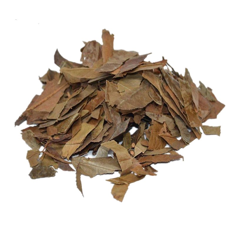 中药材 石楠叶 风药 石南叶 红树叶 石岩树叶 石楠藤叶 500克【图片