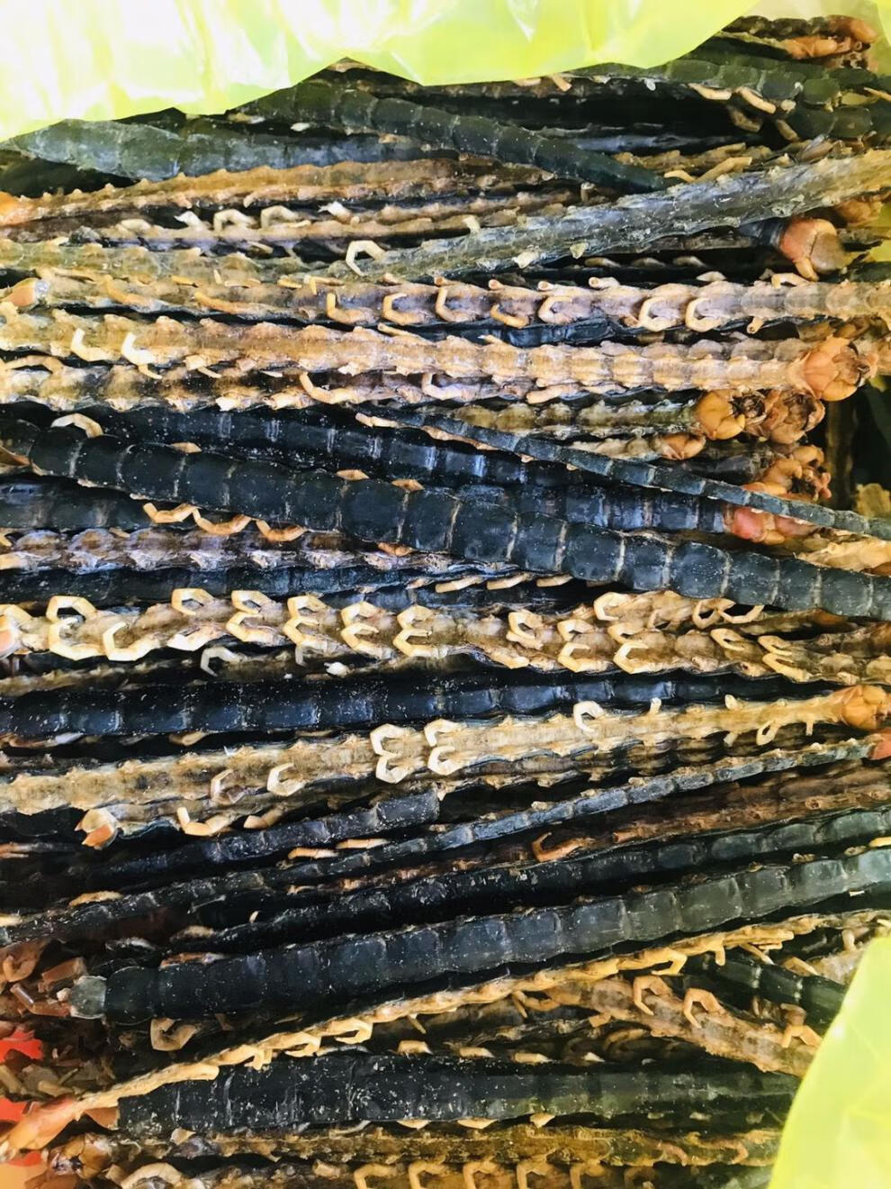 有仁堂中药材蜈蚣干10克 蜈蚣皮整条大蜈蚣肉 磨蜈蚣粉不带竹签蜈蚣