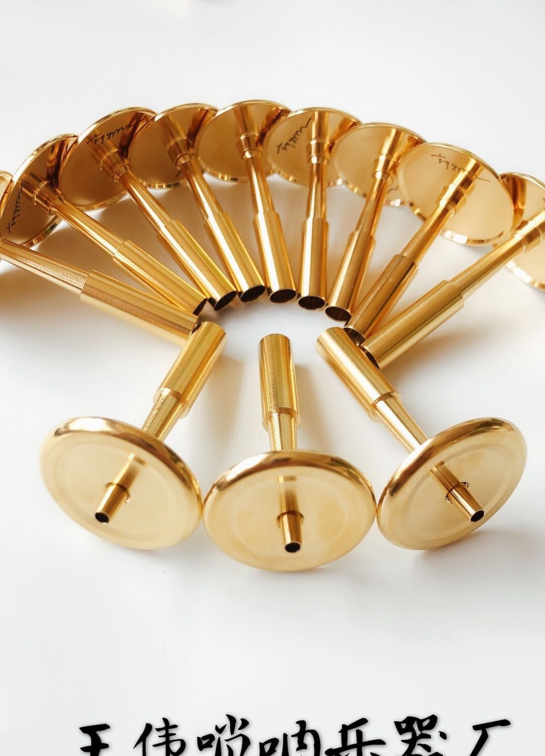 唢呐芯子郭雅致老师签名无缝芯子可调节气盘芯子高档专业芯子 d调