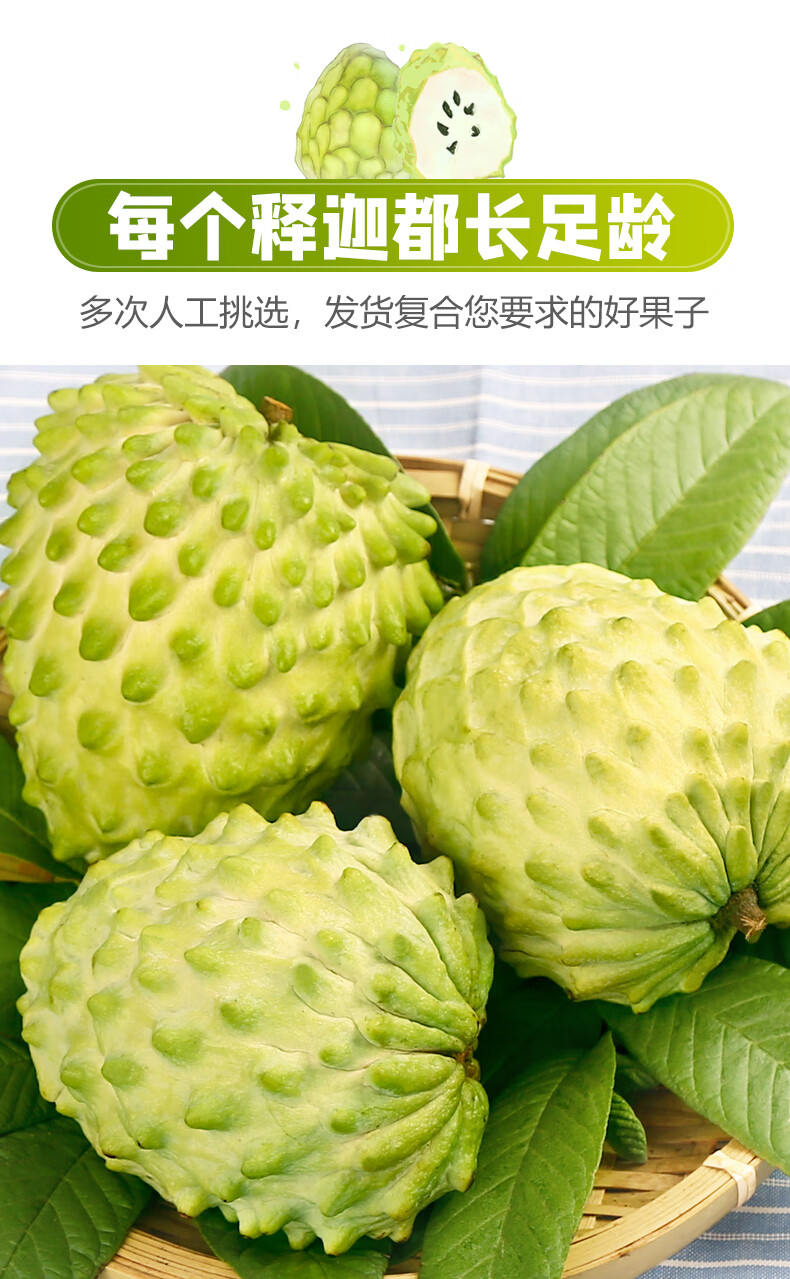 顺丰速运牛奶释迦果海南广东台湾四川多地种植牛奶凤梨攀枝花释迦果