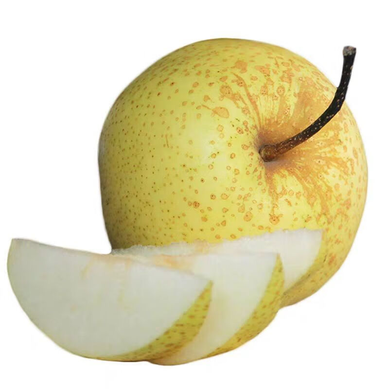 正宗雪梨河北大雪梨批发10斤冰糖雪梨新鲜梨子当季水果 净重8.