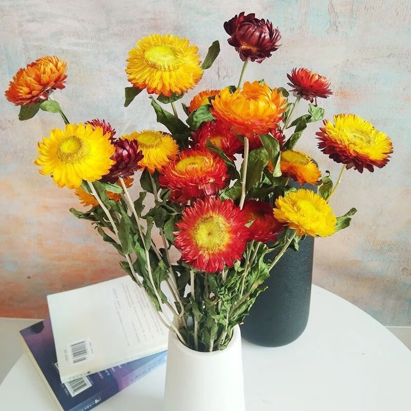 麦秆菊七彩菊干花花束情人草客厅摆件ins小清新家居装饰网红套装麦秆
