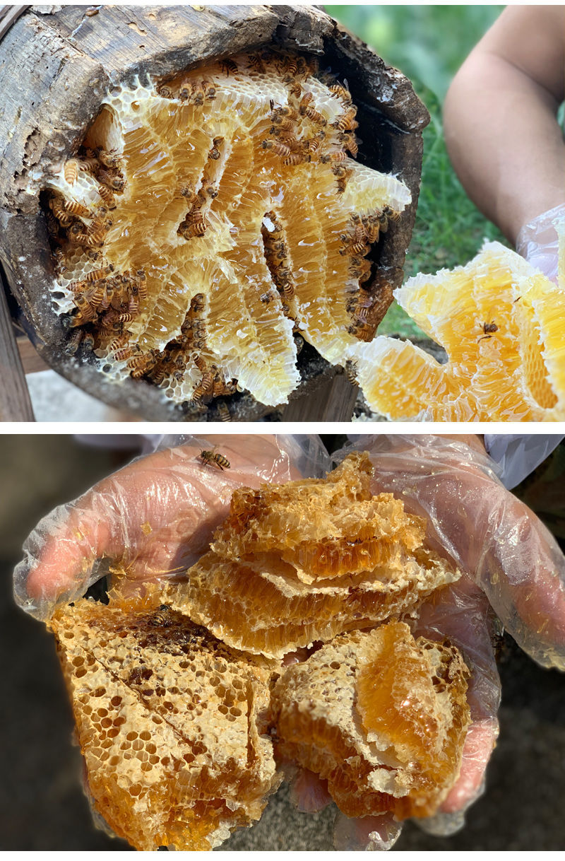 蜂巢蜜嚼着吃纯正天然老巢蜜秦岭农家自产土蜂蜜蜂窝蜜瓶装 蜂巢蜜