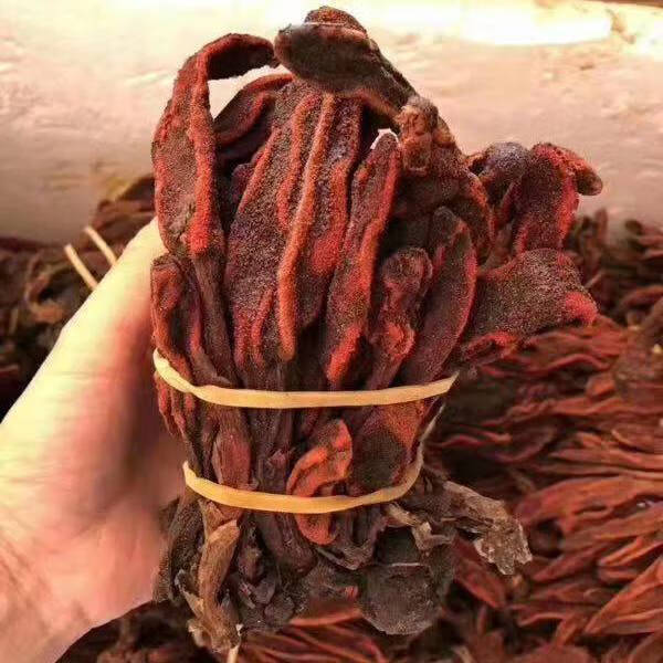 野生续阳草100克500克新货中药材回春草顶天柱锁阳男