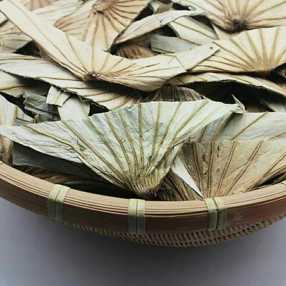 伟博 中药材荷叶蒂250g克起新货荷蒂荷鼻莲蒂干荷叶蒂荷叶顶同仁 同堂