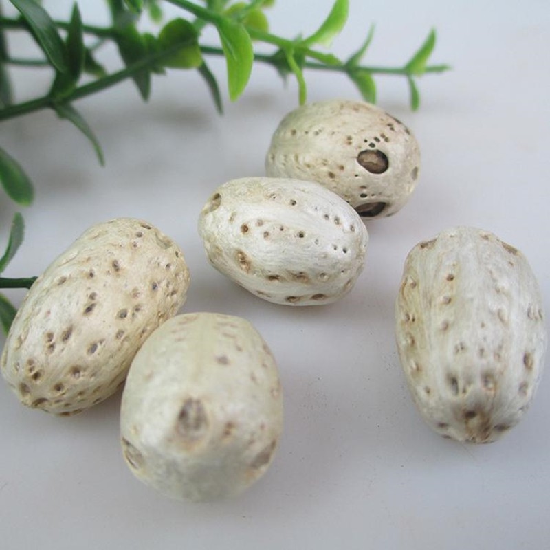 潽禧草堂中药材五眼果别名南酸枣四眼果鼻涕果货郎果500克