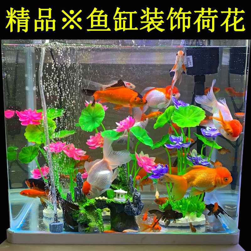 鱼缸内装饰造景套装仿真水草花草荷花布景铺底砂小号假塑料植物草粉色荷花 2斤五花石 图片价格品牌报价 京东