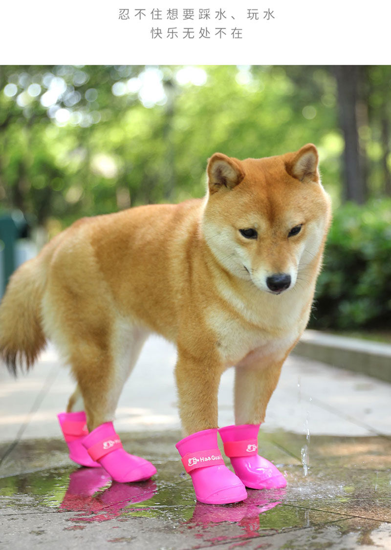泰迪狗鞋子夏天狗狗雨鞋小狗鞋子宠物鞋遛狗鞋脚套博美比熊防水鞋