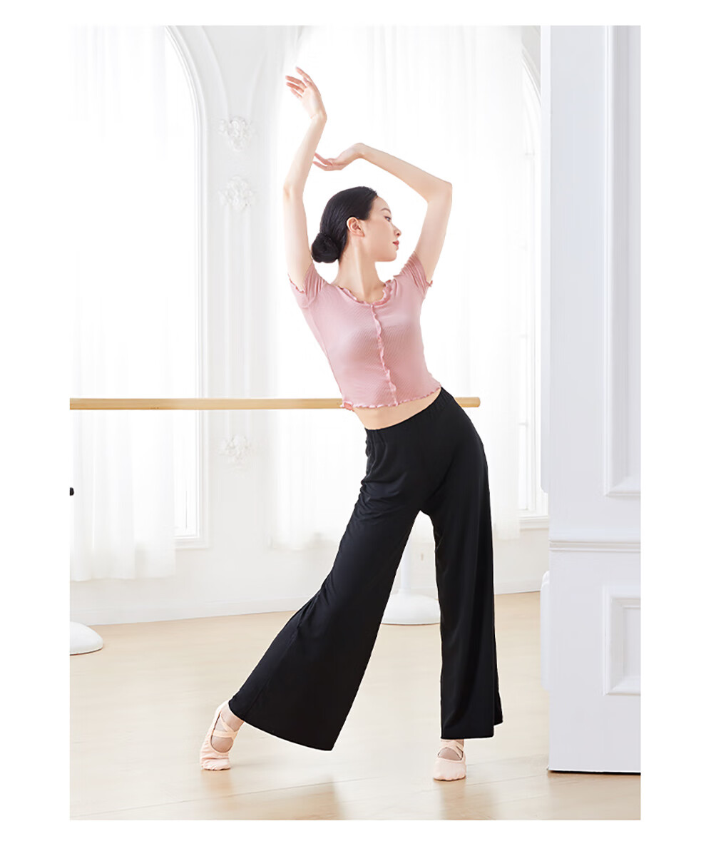 艾舞戈现代舞蹈服女夏季短袖上衣v领形体训练中国舞练功服成人芭蕾舞