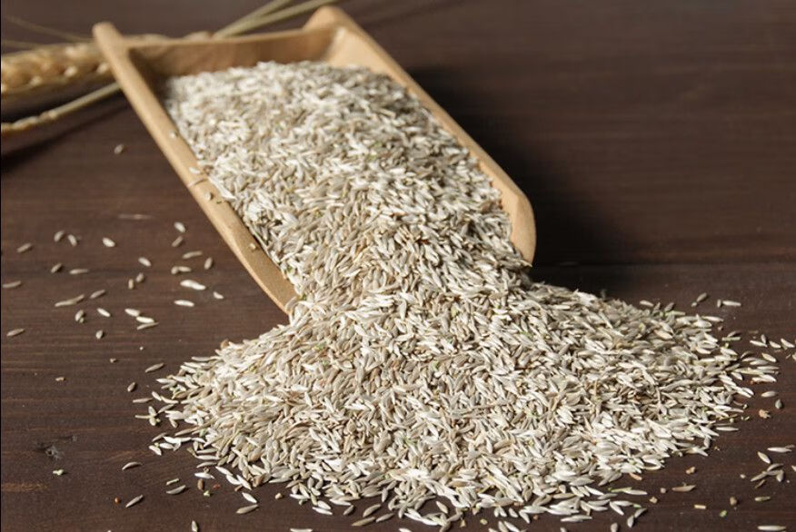 生菜籽粉熟正宗现磨纯粉搭配黄瓜籽粉无添加糖超细粉 生菜籽粉252克