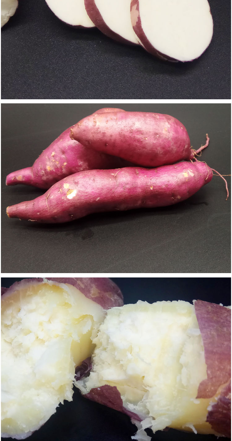 现挖10斤白心红薯新鲜超糯超粉板栗薯农家番薯地瓜山芋蜜薯15斤白心粉