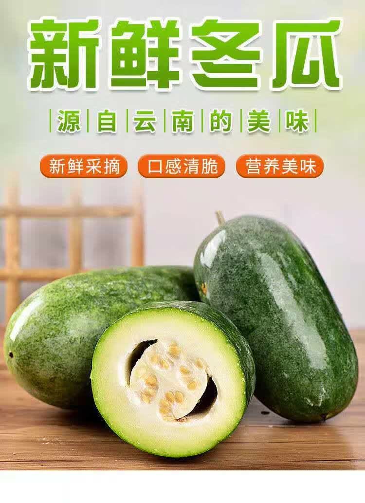 小冬瓜新鲜云南香冬瓜高山生态糯面蔬菜人工挑选精选装每天限50份34斤