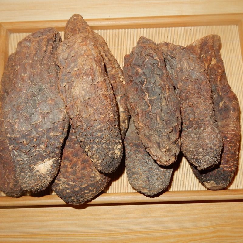 【官方旗舰】新疆肉苁蓉整根个干货250g切片泡茶泡酒料肉从容大芸配
