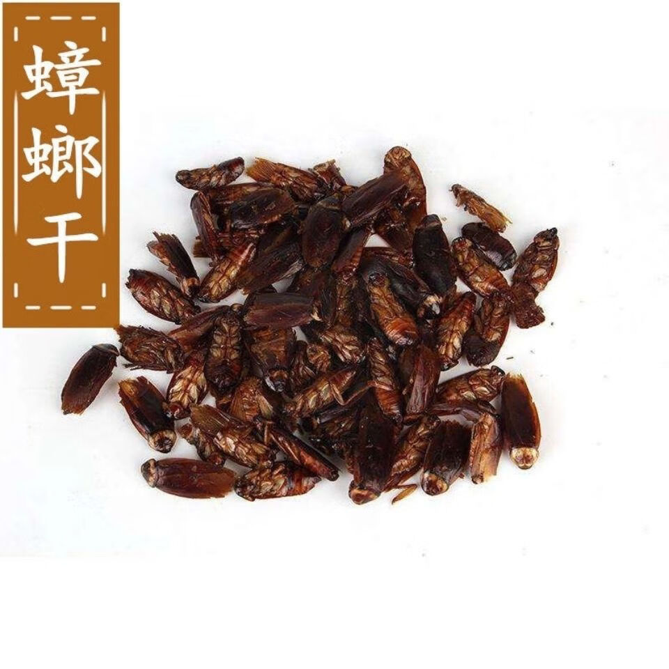 伟博 中药材蟑螂蟑螂干大蠊中药材用蟑螂蟑螂虫干蟑螂粉 蟑螂500克