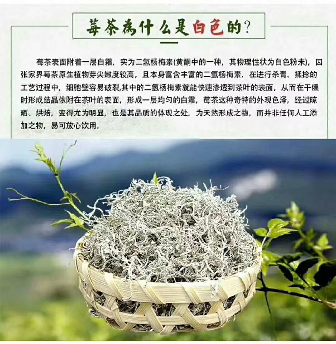 偉博莓茶張家界特級莓茶正宗永順一級龍鬚莓茶藤茶恩施富硒茶黴茶