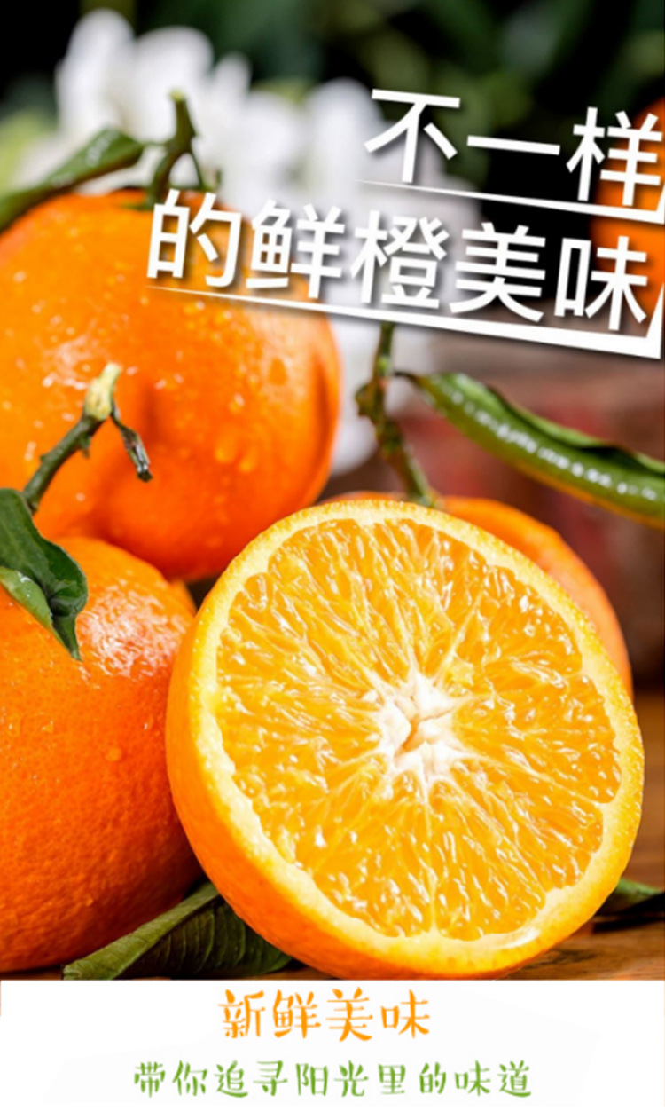 秋食恋广西夏橙脐橙现摘新鲜水果橙子蜜甜夏橙大果9斤