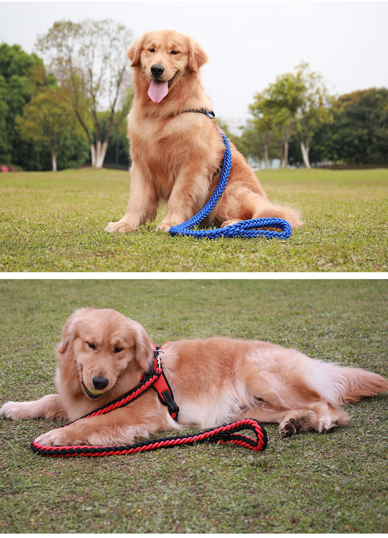 遛狗狗牵引绳栓狗绳子狗链子小型中型大型犬金毛拉布拉多胸背结实 驰