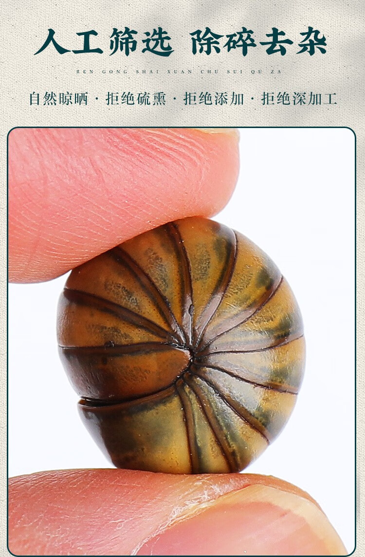 伟博滚山珠500克滚山虫滚山珠地罗汉滚山珠滚山球马陆打粉100克