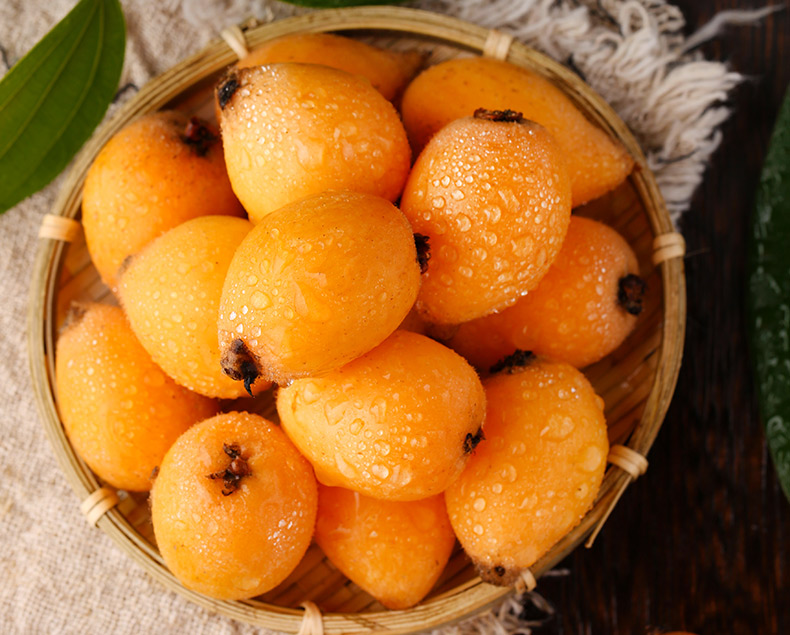 福建云霄枇杷当季新鲜水果甜3斤装