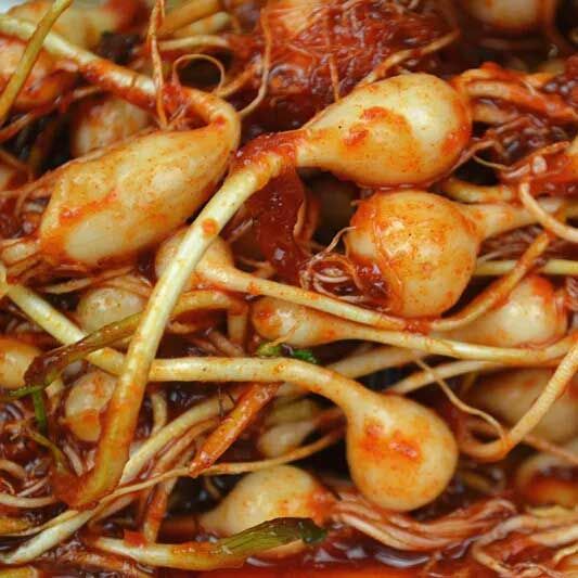 大脑瓜大脑蹦脑瓜嘣小根蒜东北新鲜小根菜野蒜山蒜 【新鲜现挖】 2500