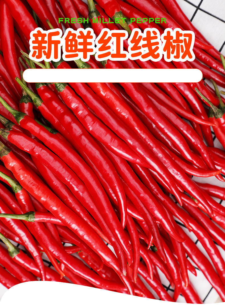 新鲜红二荆条辣椒3斤5斤现摘先发农家自种红线椒杭椒尖椒特辣整箱3斤