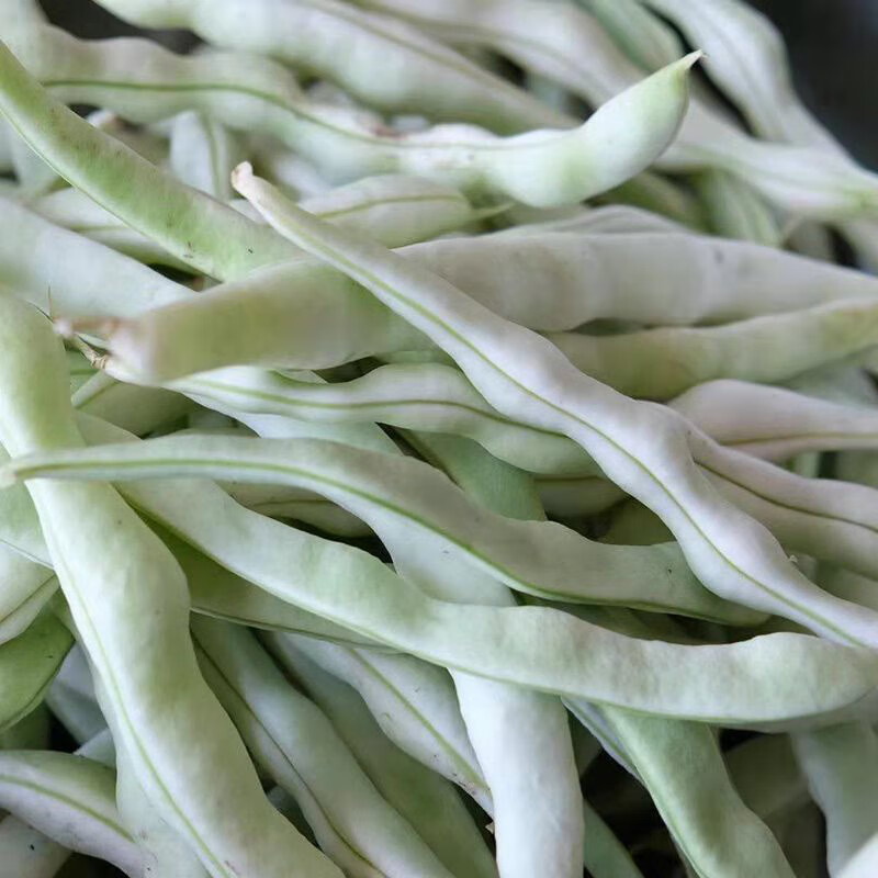 白不老豆角新鲜5斤东北架豆老来少芸豆四季豆淘菜菜蔬菜当季 2500g