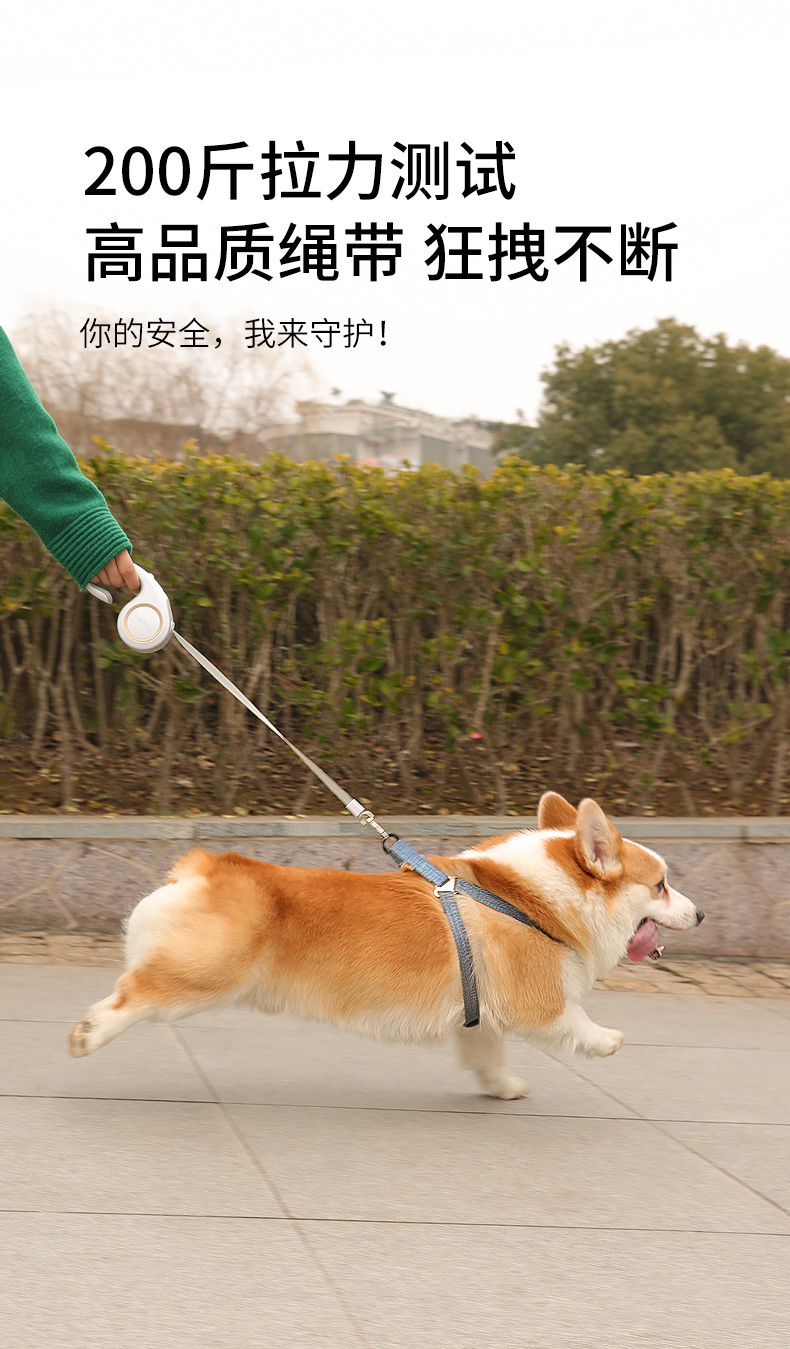 喜乐萌宠 狗狗牵引绳自动伸缩遛狗绳泰迪博美柯基狗链子中型小型犬