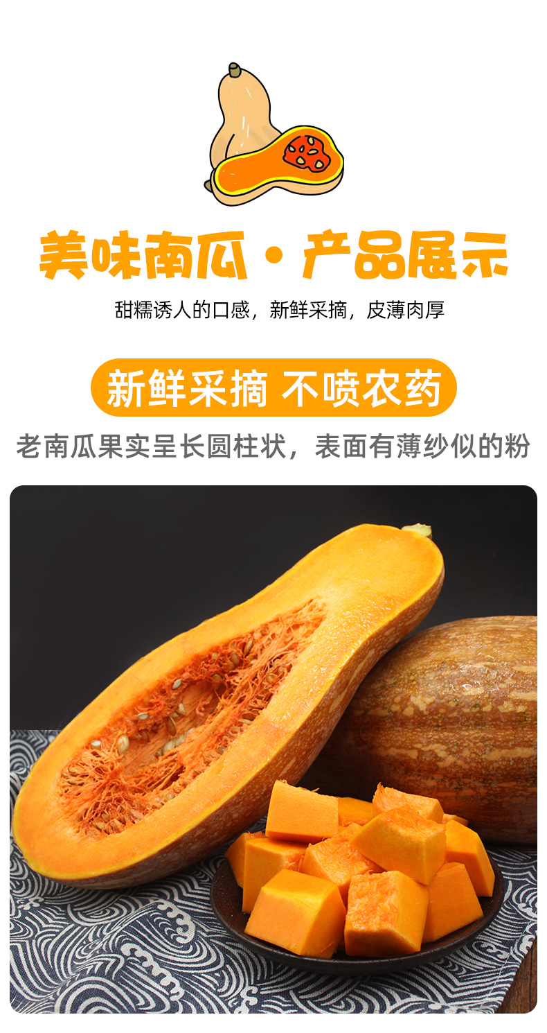 云南新鲜老南瓜农家自种老品种粉糯香甜黄南瓜小南瓜23斤单果5003000g