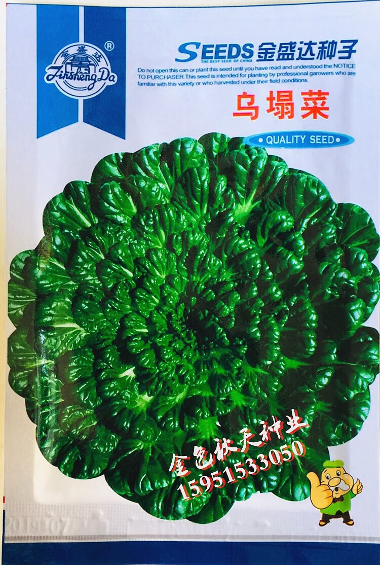 矮皇后菜种籽秋季高产抗病性强黄心菜乌塌菜正宗淮南菊花心菜种孑四季