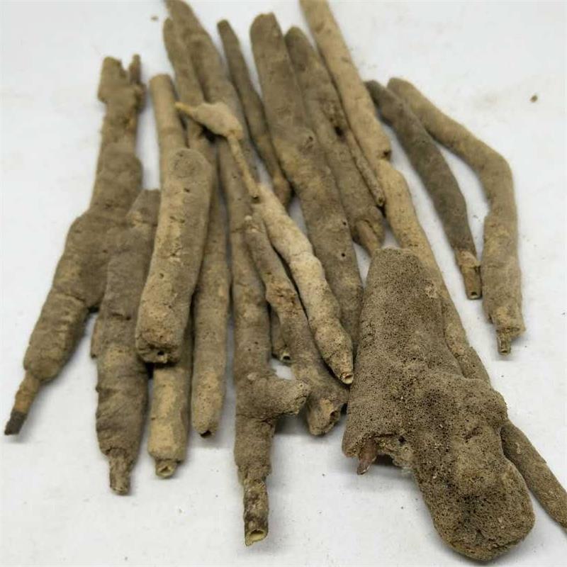 速如康中药材紫梢花紫霄花紫稍花淡水海绵中草药新货紫捎花粉紫梢花根