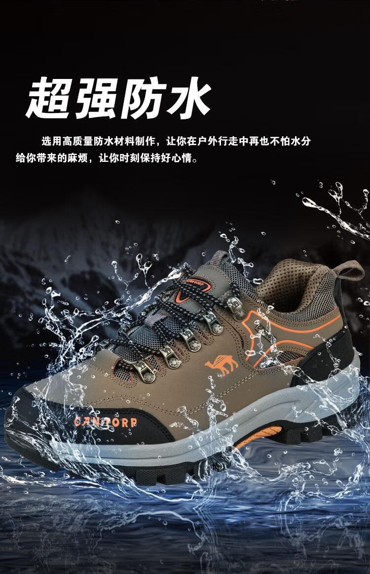 2a86ad62465eaa81.jpg