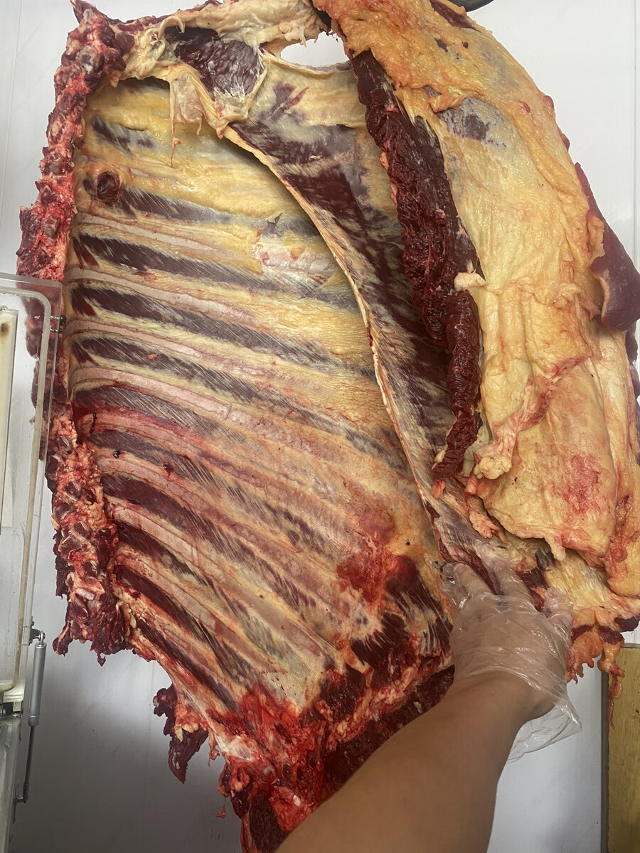 卡利安 黄膘牛排骨 内蒙古黄膘牛排 黄膘牛肉 带肉精修牛肋排骨 黄膘