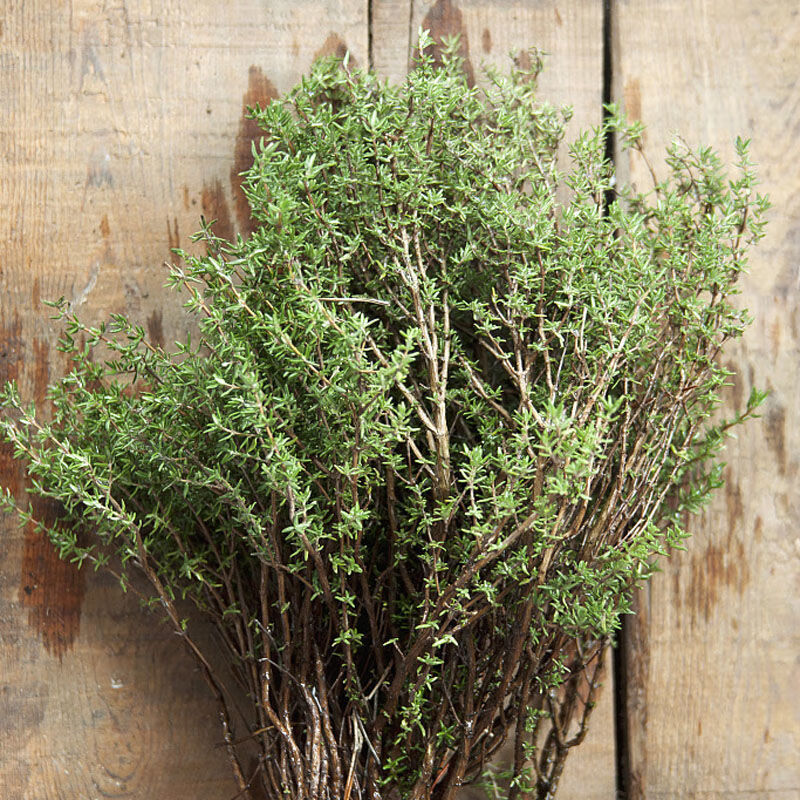 (顺丰速发)新鲜迷迭香 百里香香草牛排用食用调料西餐香料 百里香100g