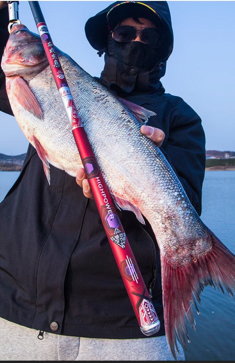 钓鱼王霸王悍鲟鱼版日本碳素钓鱼竿手竿超轻超硬28调19调台钓竿十大