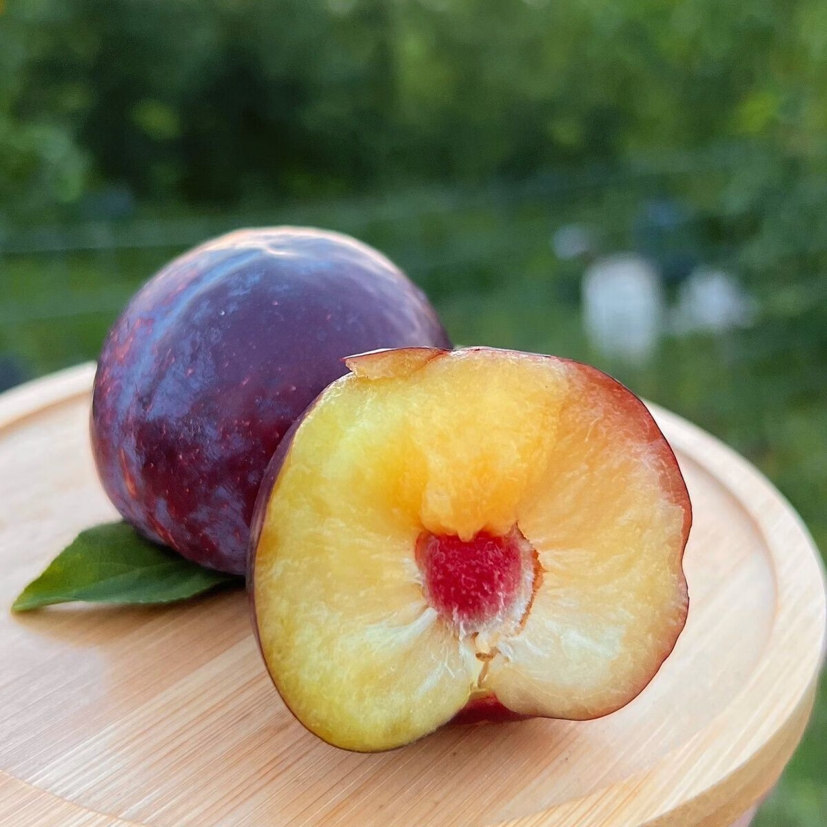 媚调 东北大李子脆李子脱骨李子新鲜应季水果黑布林红布林现货孕妇