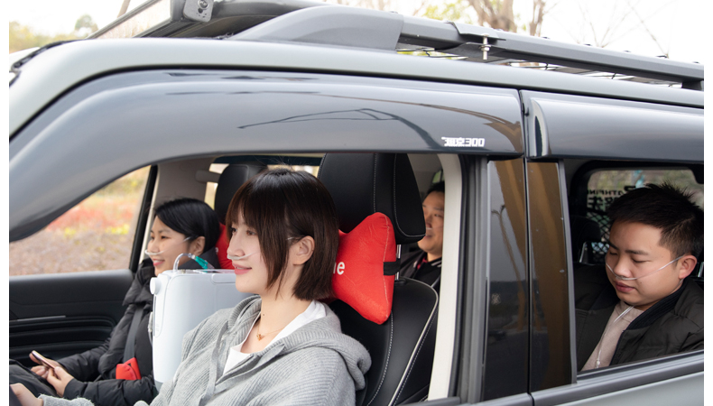 巨仁旅游车载制氧机氧气机家用老人吸氧机孕妇车载制氧机高原版12v