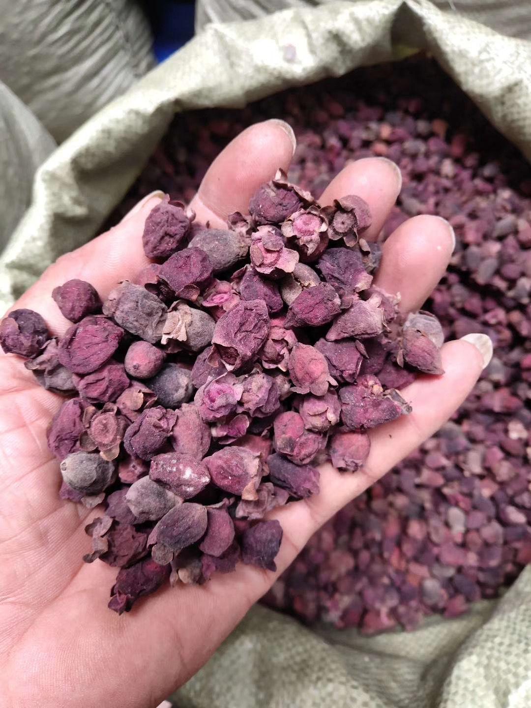 6015啡晨 三蒸三晒山捻子,捻子干,桃金娘新鲜干货.