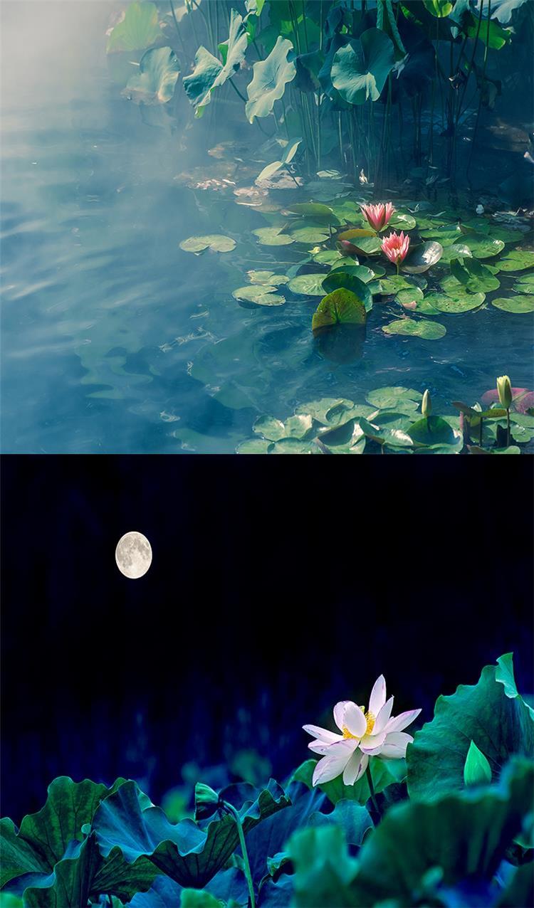 墙面布挂布风景新直播背景布3d立体山水大草原室外风景网红ins壁画挂