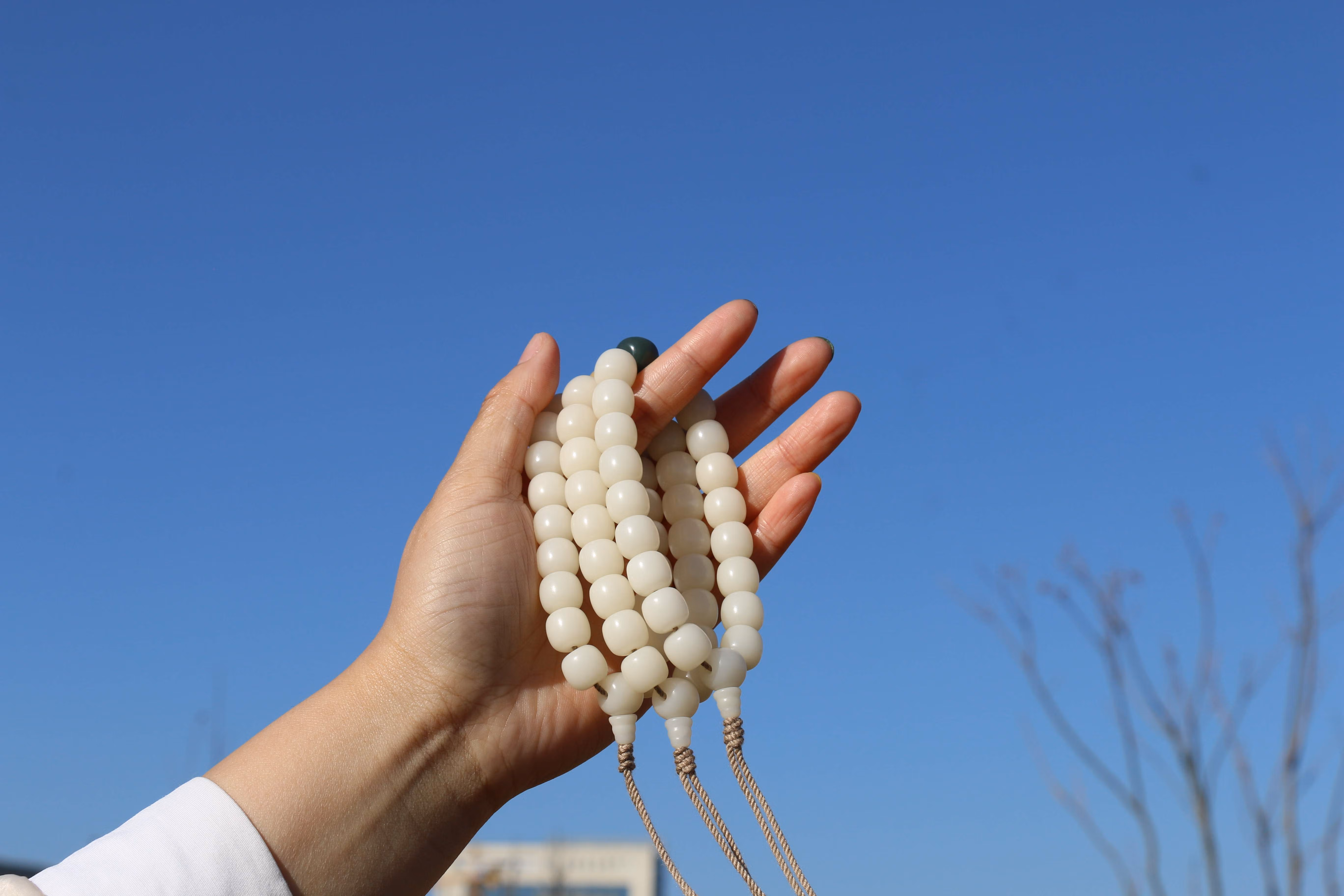 菩提根冷门手串男盘玩白玉菩提子老型手持阴皮风化隔