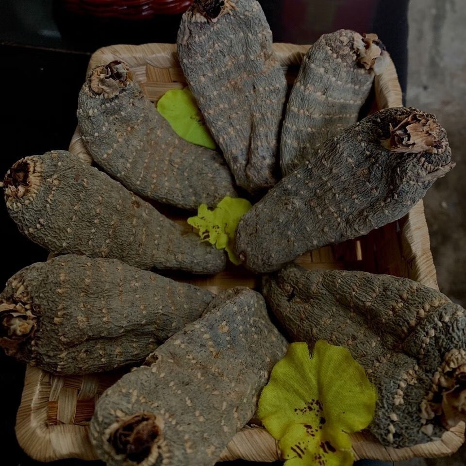 昭通野生天麻云南特产串串麻野生乌天麻新鲜纯无硫天然