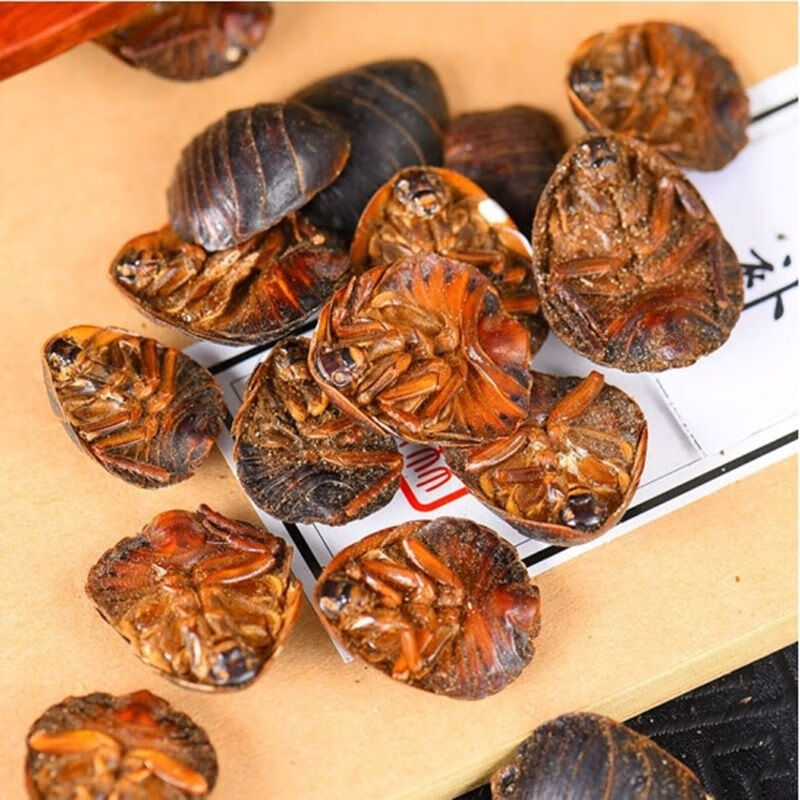 【官方旗舰】土元粉中药材粉现磨野生土鳖虫超细粉sn1353 2000克 量勺